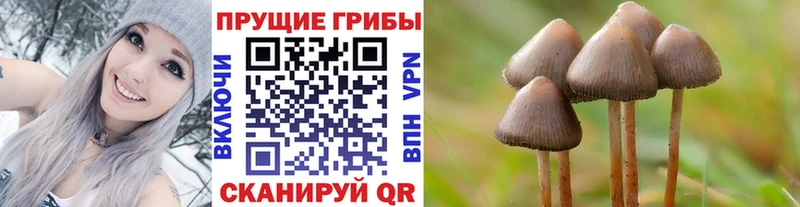 Галлюциногенные грибы GOLDEN TEACHER Сухой Лог